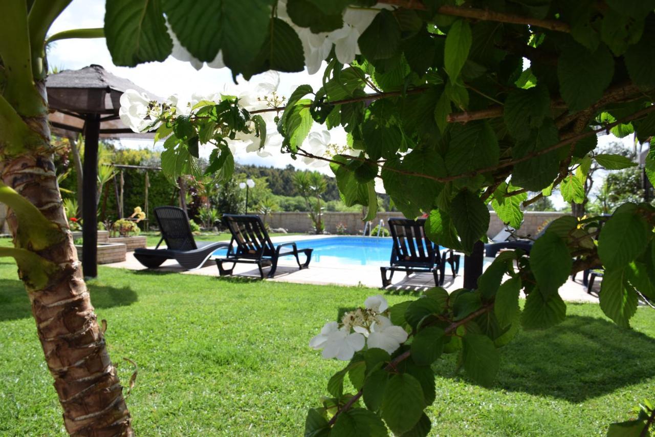 Alagoas4Family - Country House Arouca Extérieur photo
